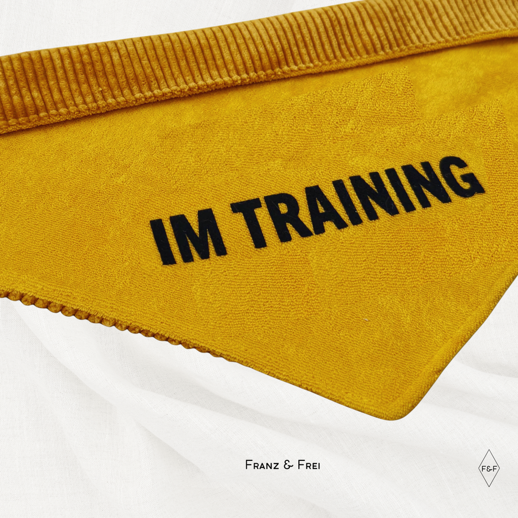 HUNDESHALSTUCH O´BACHT I WUNSCHTEXT + NAME