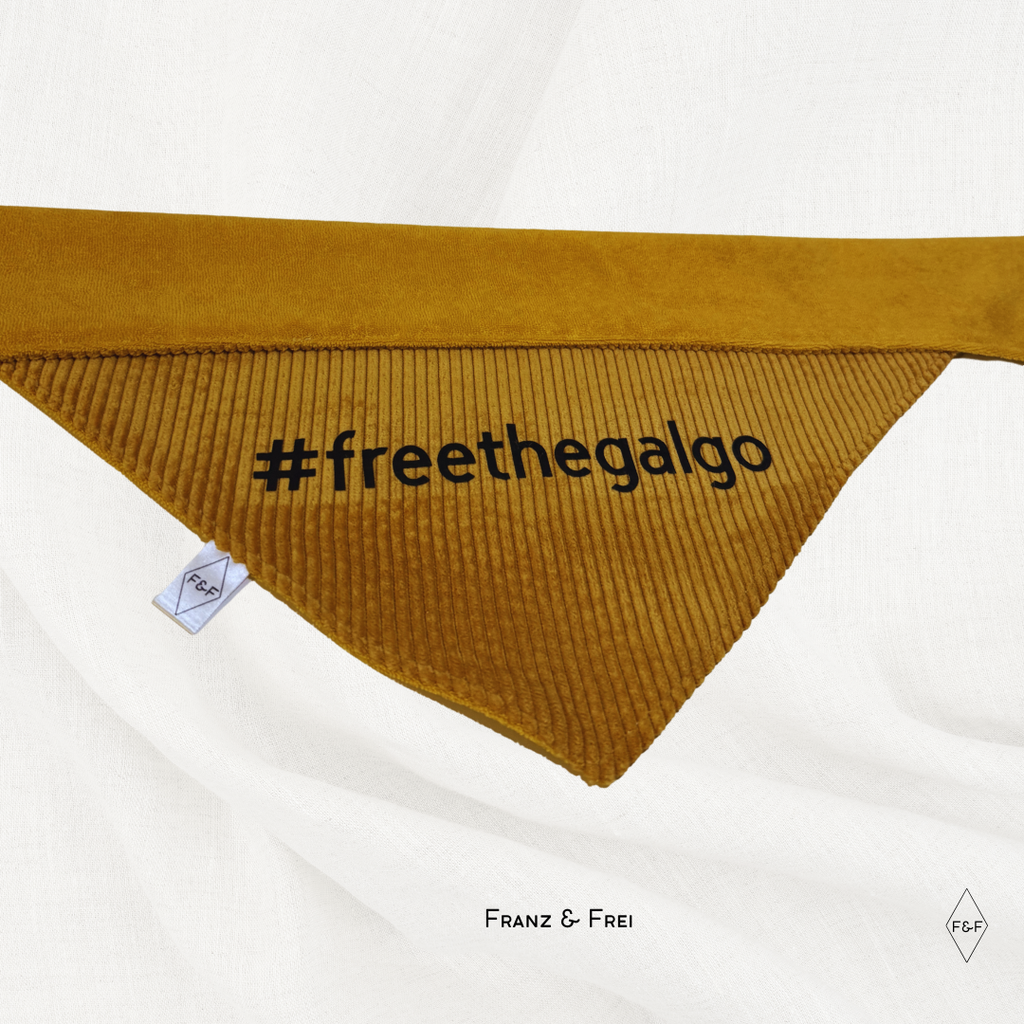 HUNDESHALSTUCH O´BACHT I WUNSCHTEXT + NAME