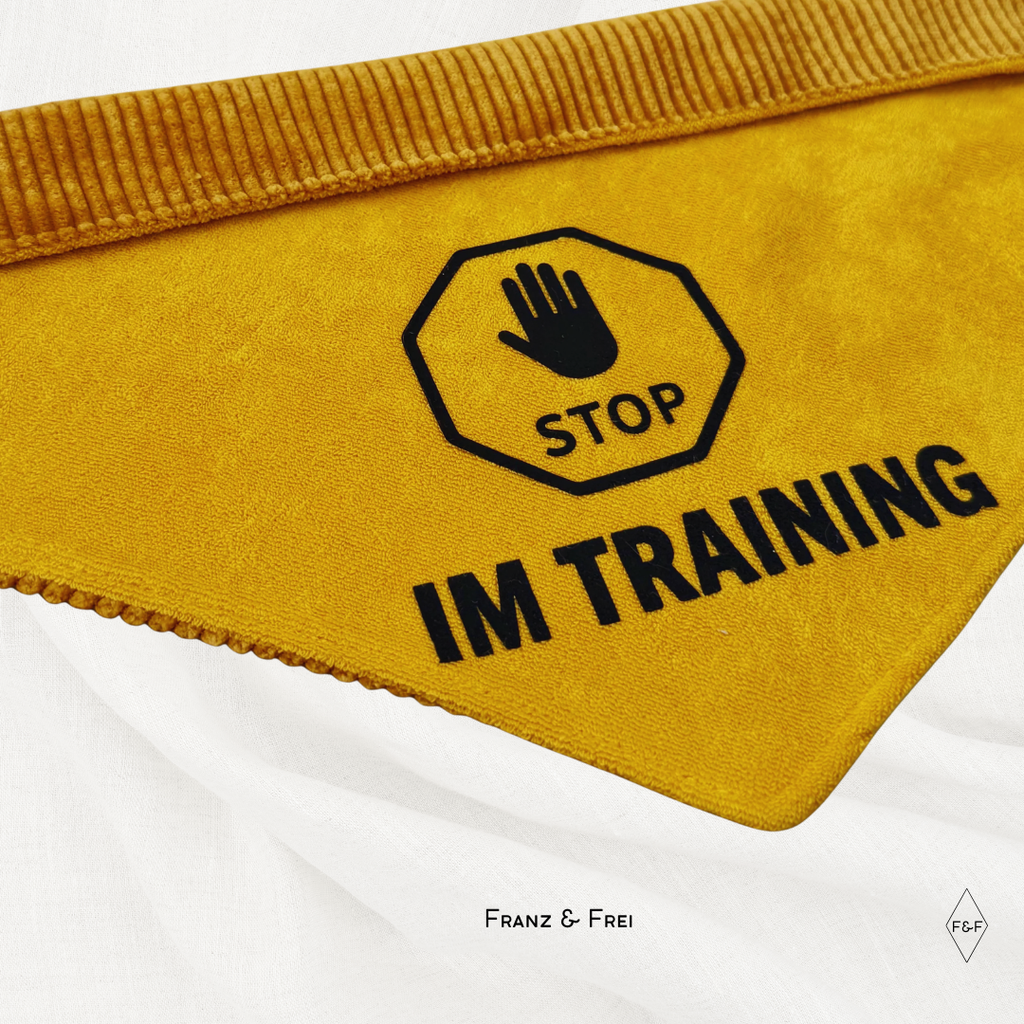 HUNDESHALSTUCH O´BACHT I STOP-ZEICHEN + WUNSCHTEXT + NAME