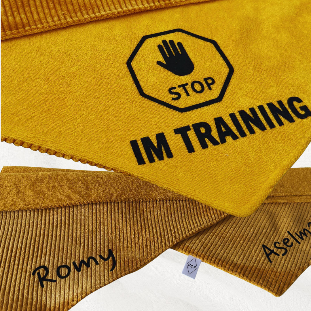 HUNDESHALSTUCH O´BACHT I STOP-ZEICHEN + WUNSCHTEXT + NAME