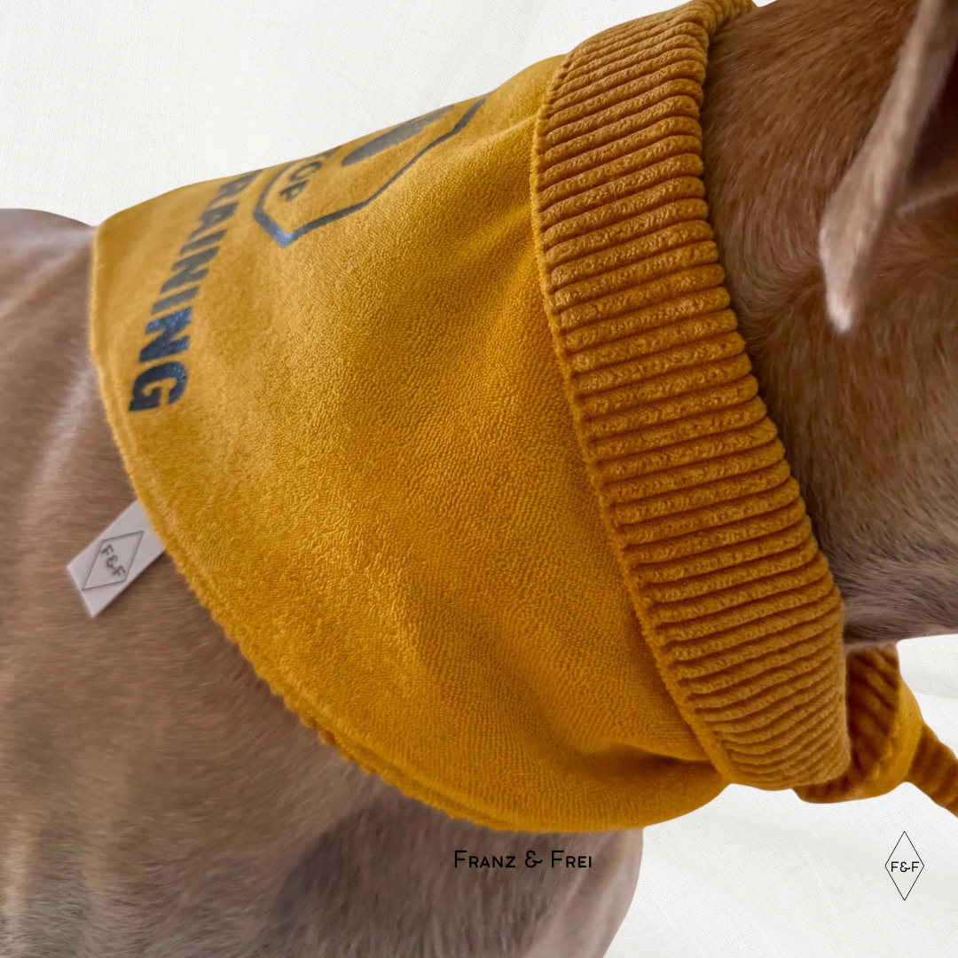 HUNDESHALSTUCH O´BACHT I STOP-ZEICHEN + WUNSCHTEXT