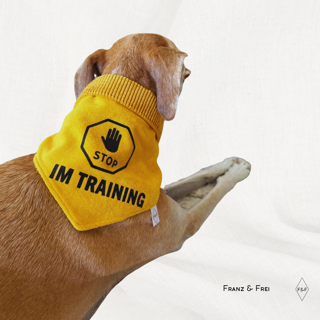 HUNDESHALSTUCH O´BACHT I STOP-ZEICHEN + WUNSCHTEXT