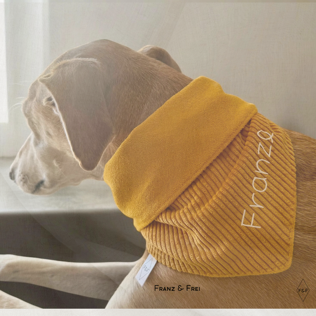 HUNDESHALSTUCH O´BACHT I WUNSCHTEXT + NAME