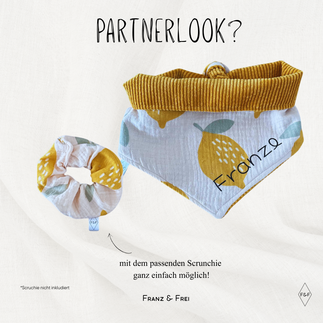 HUNDEHALSTUCH G´MUSTERT I CORD & GEMUSTERTER STOFF I GESTALT- & PERSONALISIERBAR