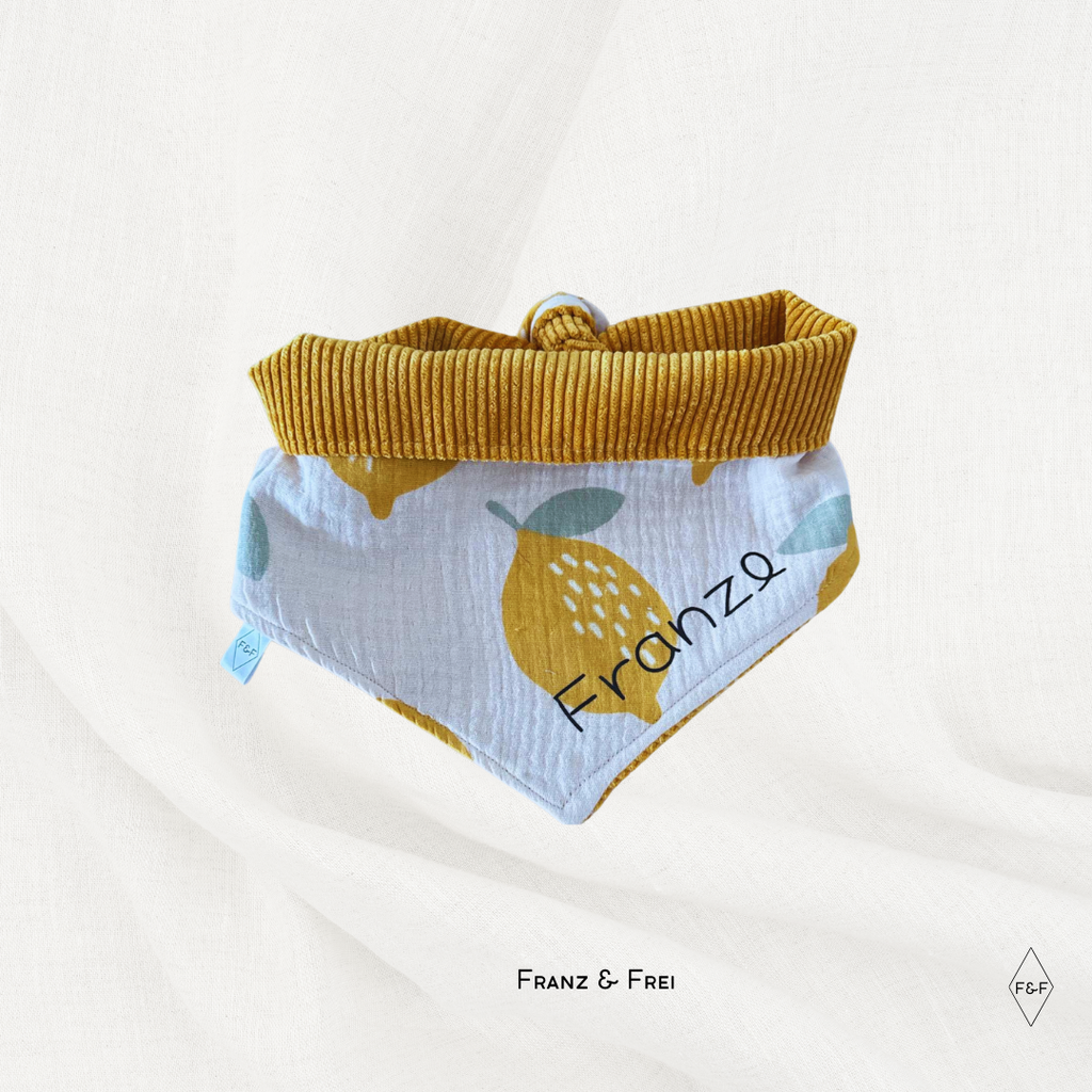 HUNDEHALSTUCH G´MUSTERT I CORD & GEMUSTERTER STOFF I GESTALT- & PERSONALISIERBAR