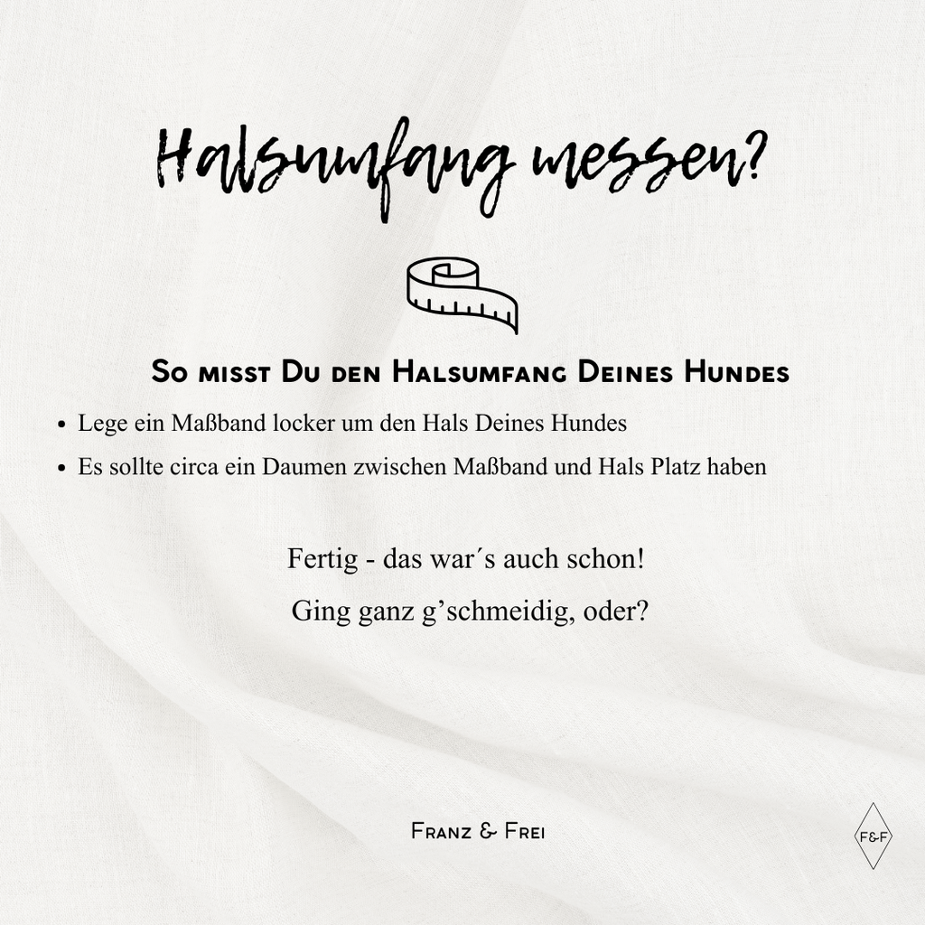 HUNDESHALSTUCH O´BACHT I WUNSCHTEXT + NAME