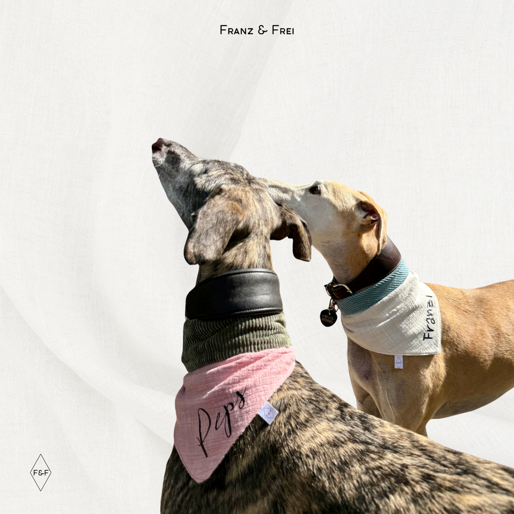 HUNDEHALSTUCH G´SCHMEIDIG I CORD & MUSSELIN IM LEINENLOOK I GESTALT- & PERSONALISIERBAR